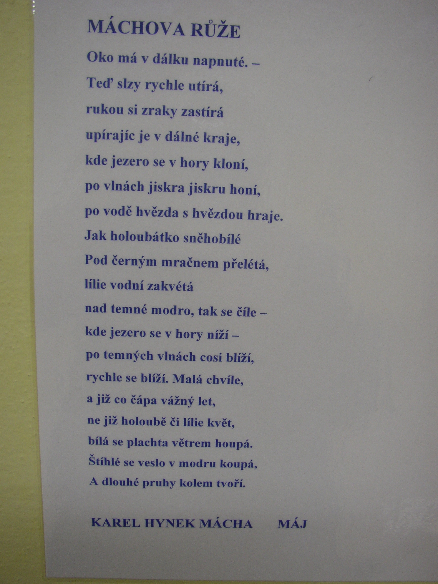 P1010006