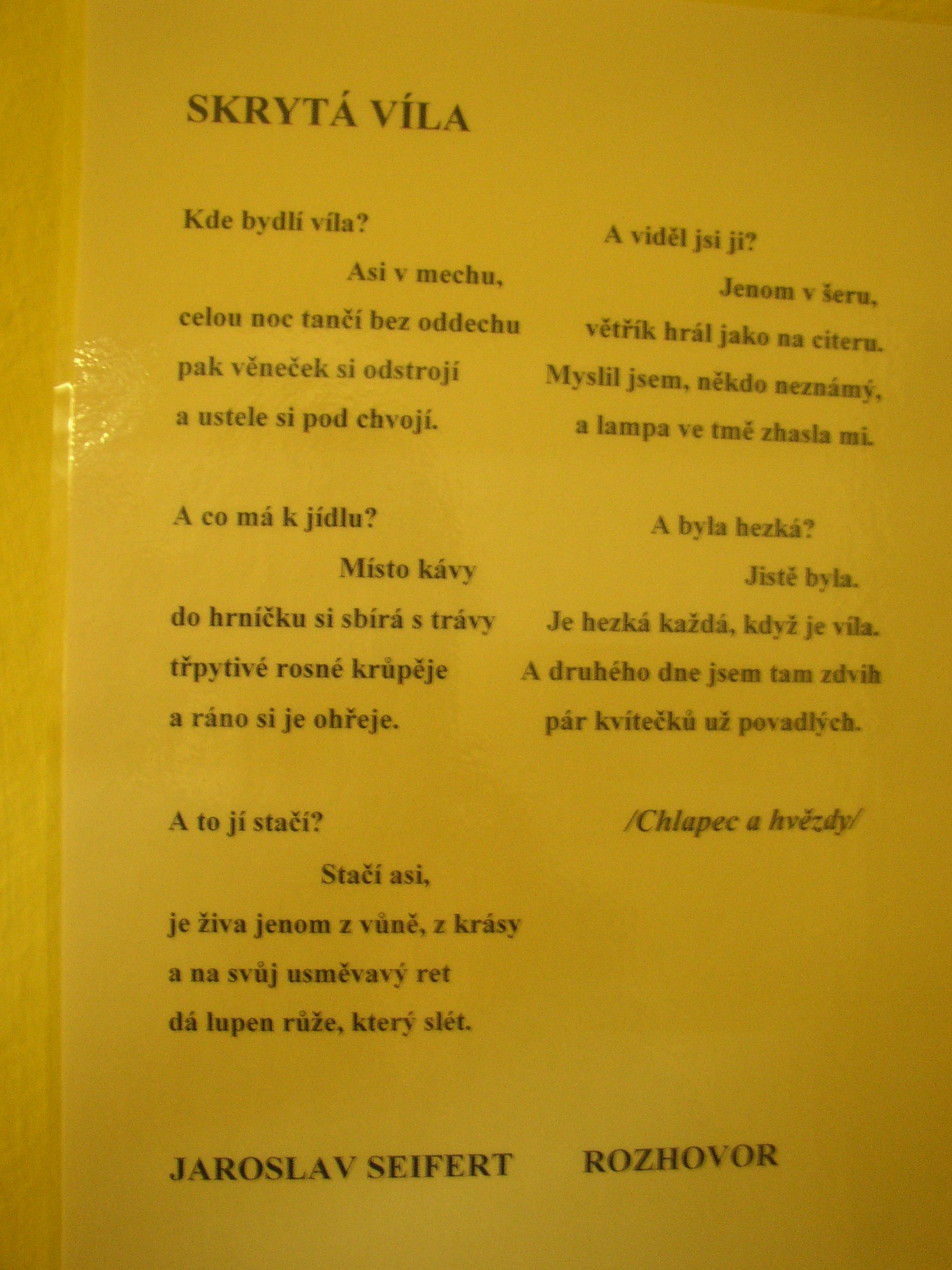 P1010014