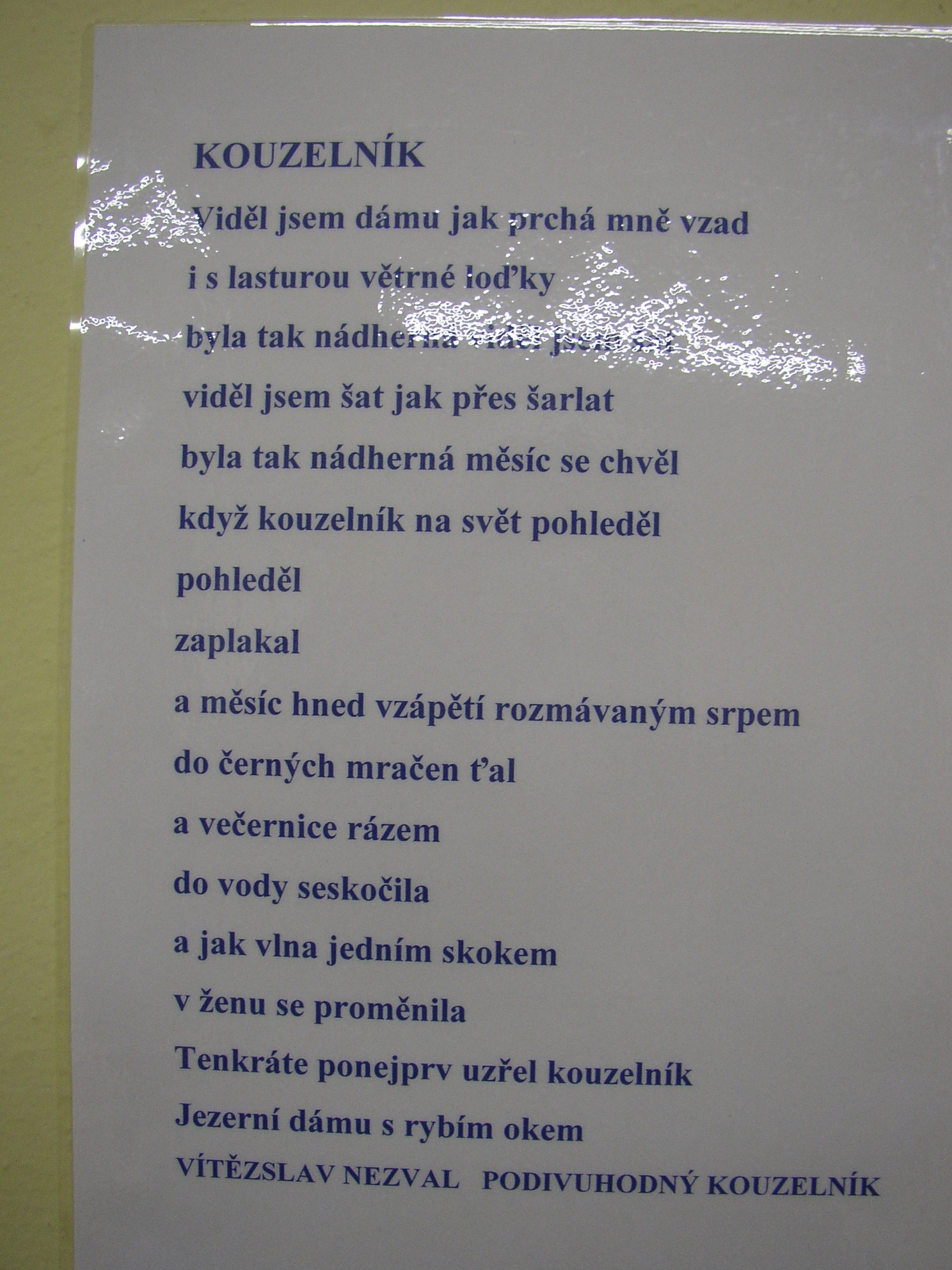P1010002